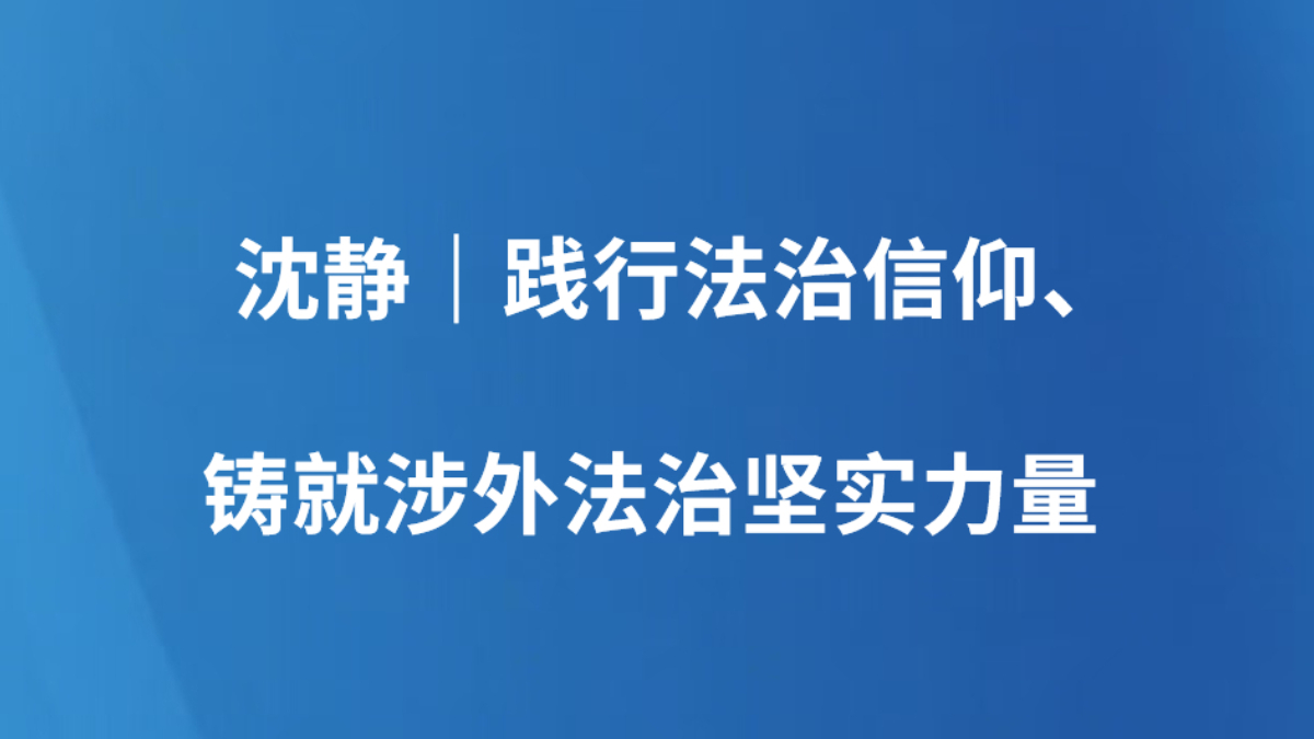沈静｜践行法治信仰、铸就涉外法治坚实力量