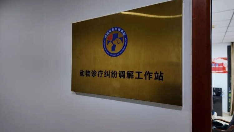 宠物诊疗纠纷有了“老娘舅”