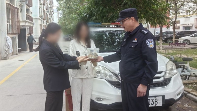 新疆奎屯市警民携手救助两只国家“三有”保护动物——巨嘴沙雀