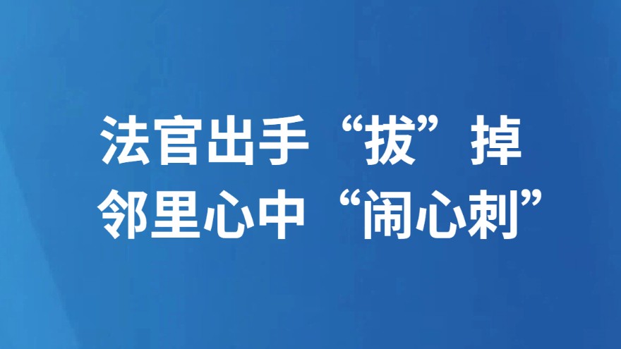 法官出手“拔”掉邻里心中“闹心刺”