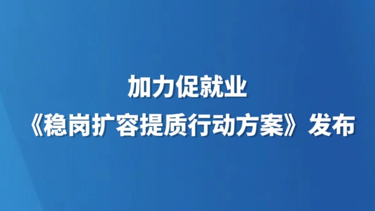 加力促就业 《稳岗扩容提质行动方案》发布