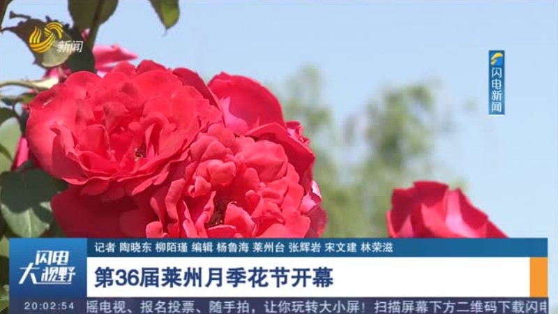 第36届莱州月季花节开幕