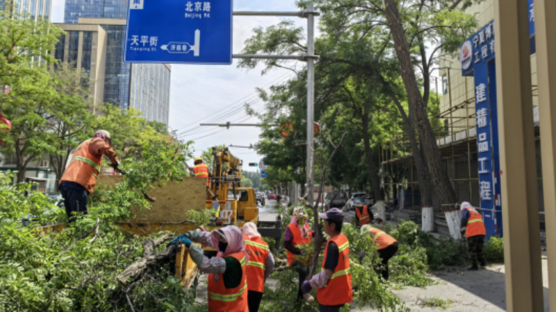 银川市兴庆区阳澄社区：吹哨报到除隐患 联动修剪保平安