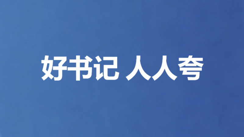 好书记 人人夸