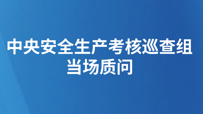 中央安全生产考核巡查组当场质问：“这么高的塔吊，没有手续，难道你们辖区相关负责人看不到吗？不检查吗？”
