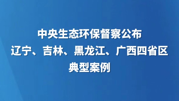 中央生态环保督察公布辽宁、吉林、黑龙江、广西四省区典型案例