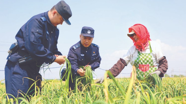 行走阡陌话平安