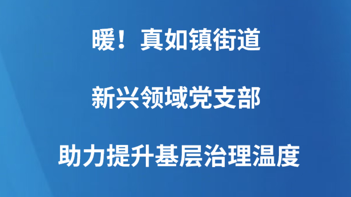 暖！真如镇街道新兴领域党支部助力提升基层治理温度