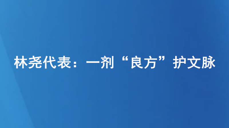 林尧代表：一剂“良方”护文脉