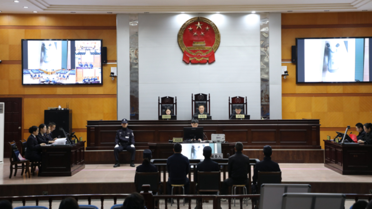 四川广元市苍溪法院：无人机沦为捕猎手段  法治守护林间生灵