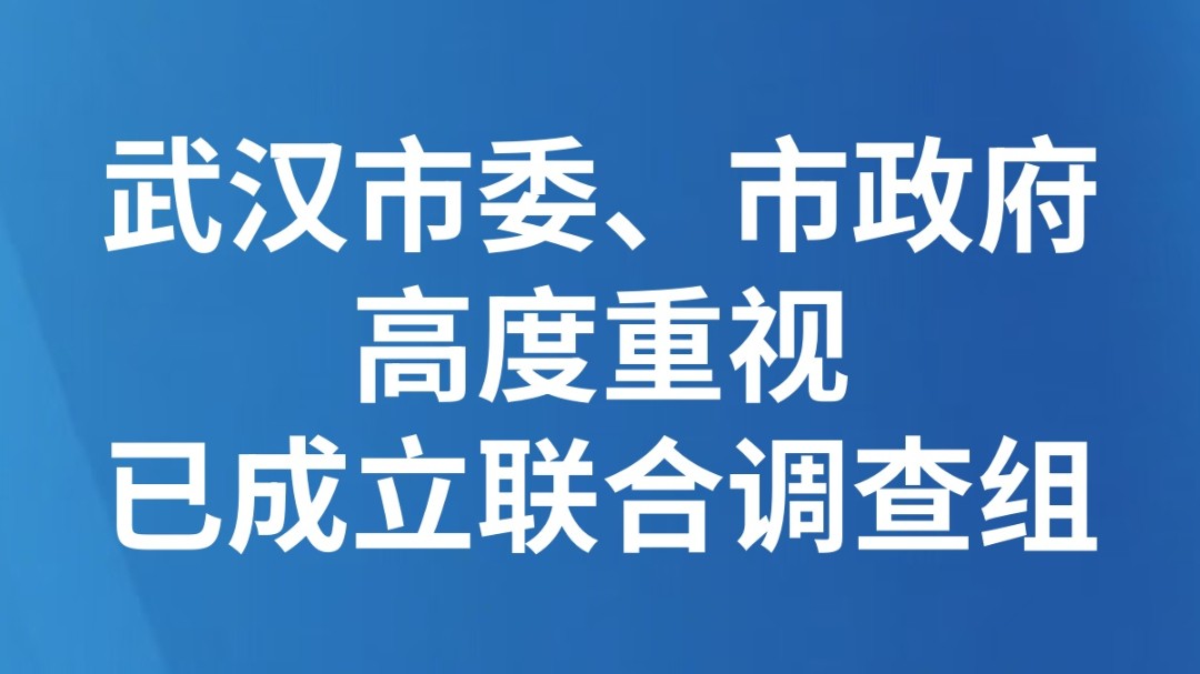 武汉市委、市政府高度重视，已成立联合调查组