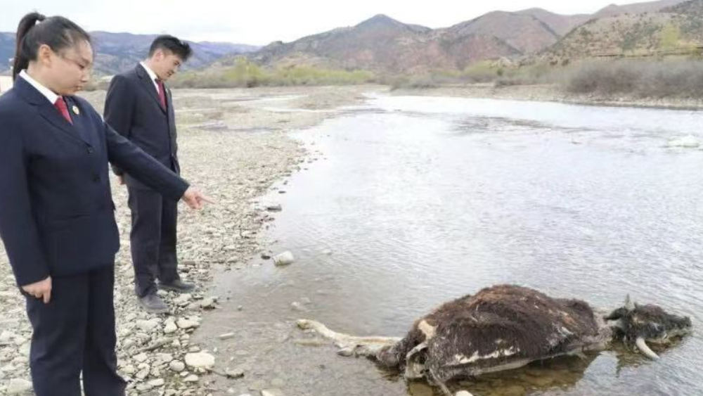 四川理塘县检察院守护无量河生态  以公益诉讼筑牢民族团结生态屏障