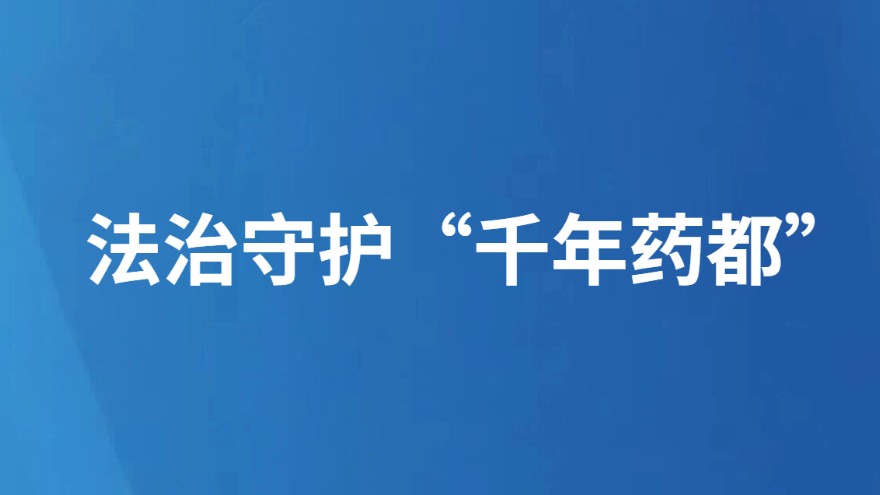 法治守护“千年药都”