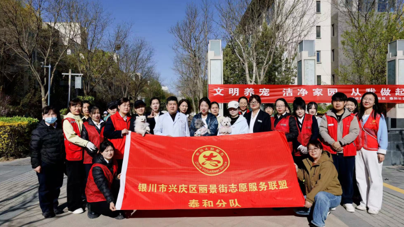 银川市兴庆区泰和社区：党建引航筑阵地，文化润心促善治