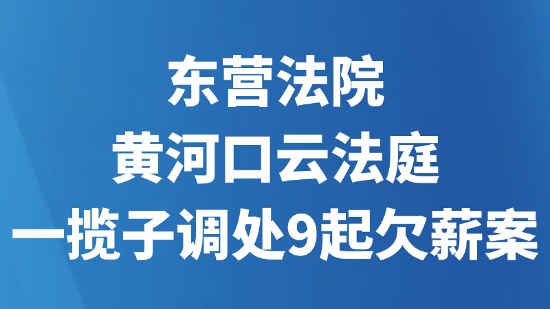 东营法院黄河口云法庭一揽子调处9起欠薪案