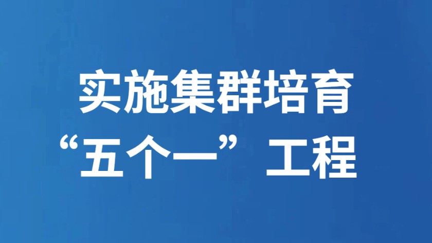 实施集群培育“五个一”工程