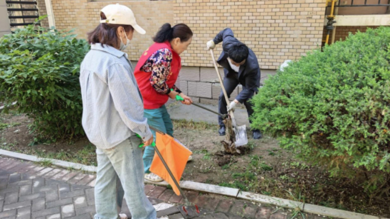 银川市兴庆区北安社区：多方联动清乱象，联合执法护文明