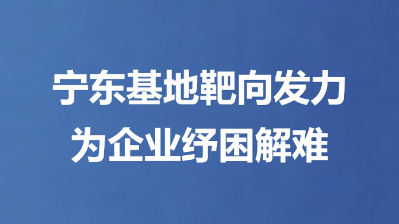 宁东基地靶向发力为企业纾困解难