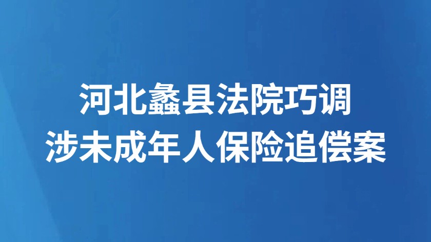 河北蠡县法院巧调涉未成年人保险追偿案