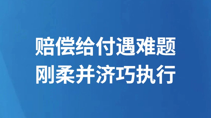 赔偿给付遇难题 刚柔并济巧执行