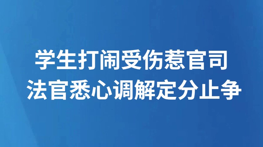 学生打闹受伤惹官司 法官悉心调解定分止争