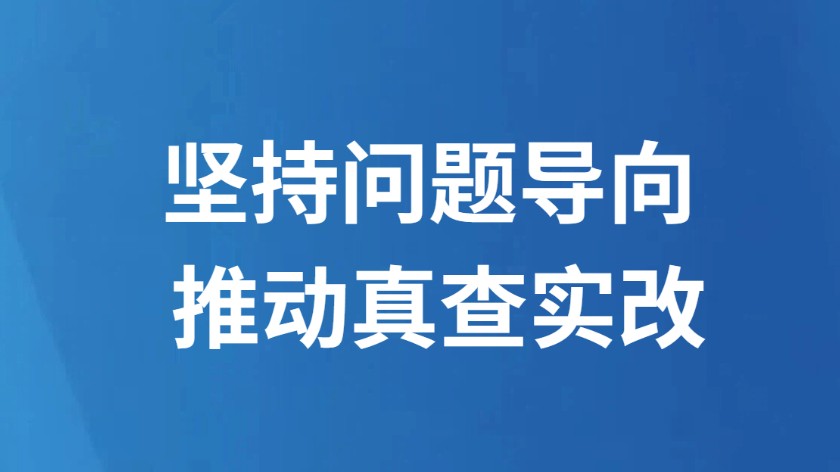 坚持问题导向 推动真查实改