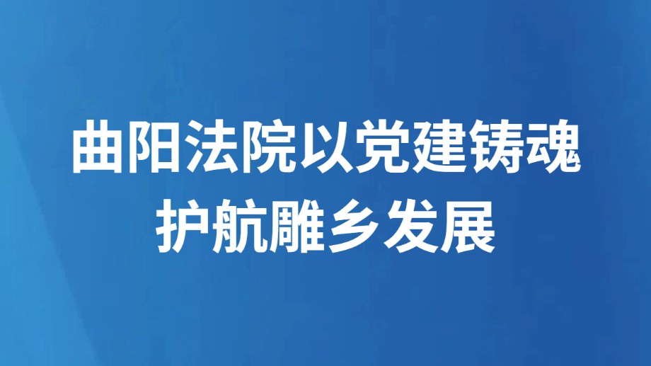 曲阳法院以党建铸魂护航雕乡发展
