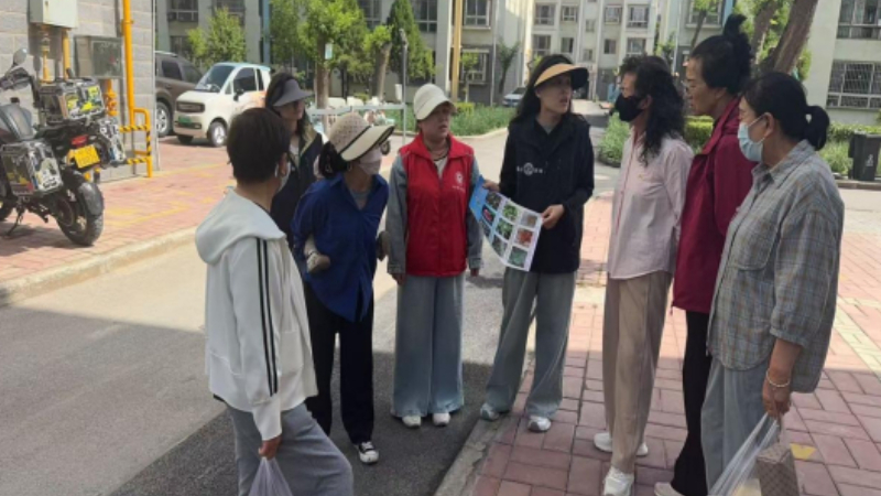 银川市兴庆区玺悦社区：踏查铲毒清隐患，普法宣教筑防线
