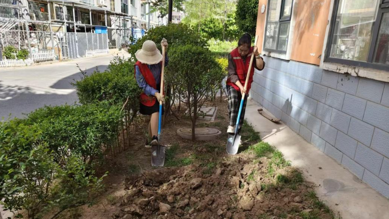 银川市兴庆区庆春社区：依法规范破私种顽疾，共享菜园聚邻里温情