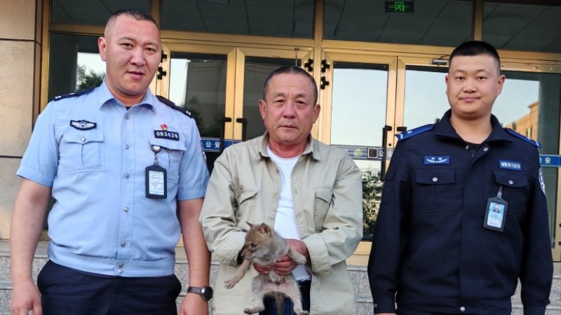 新疆新源县公安局伊犁植物园生态警务站成功救助国家二级野生保护动物