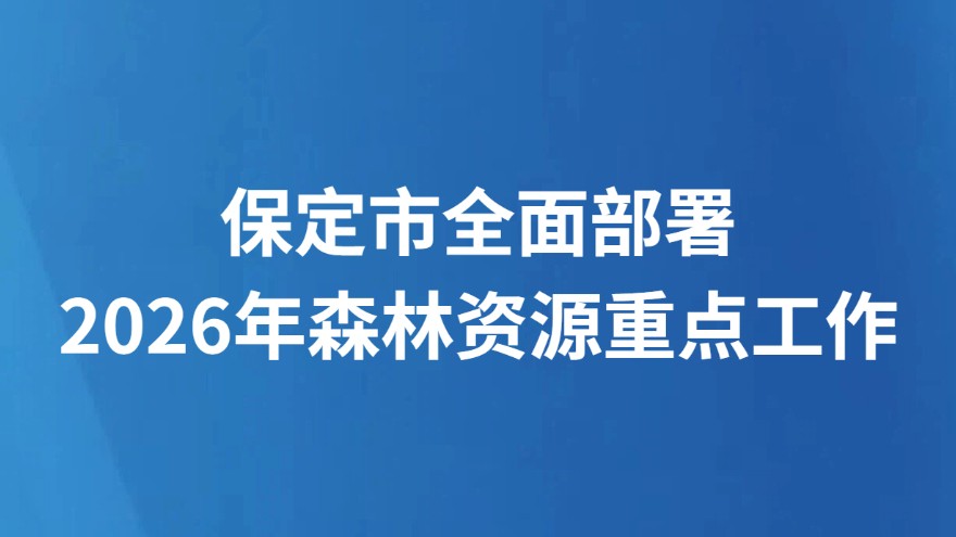 保定市全面部署2026年森林资源重点工作