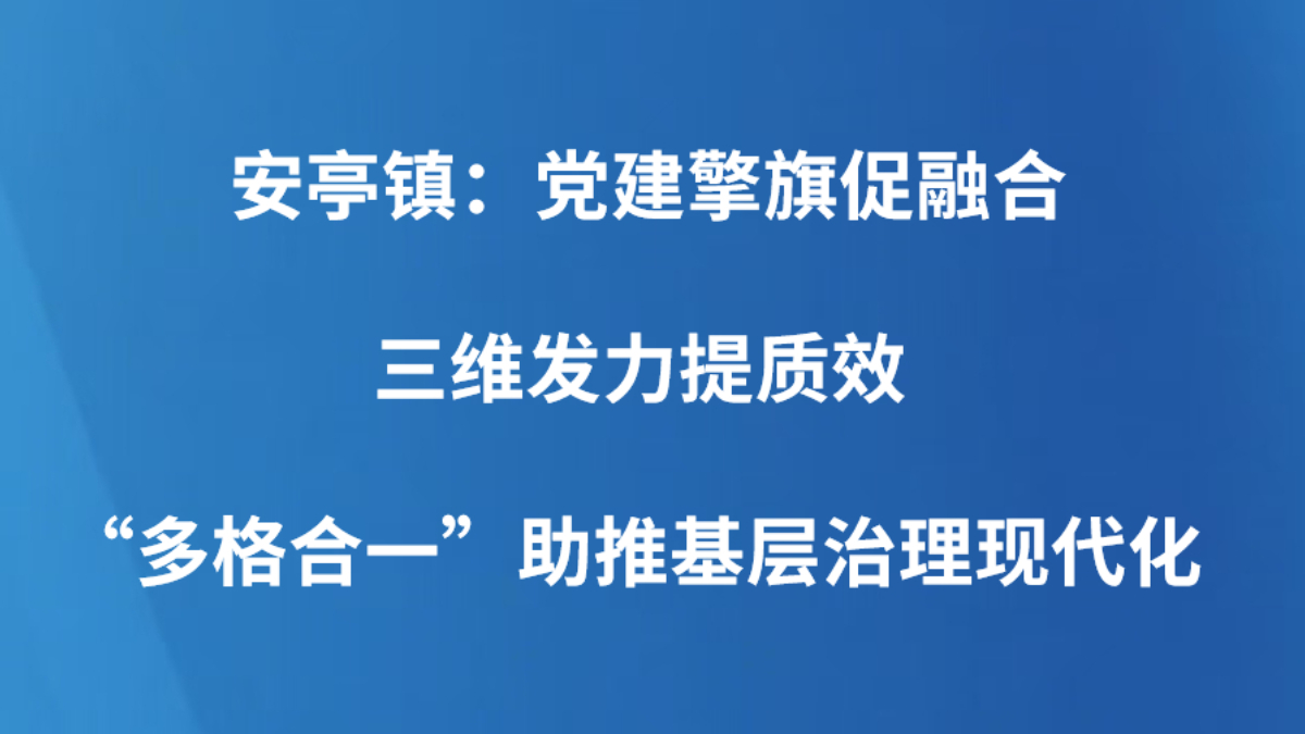 安亭镇：党建擎旗促融合 三维发力提质效 “多格合一”助推基层治理现代化