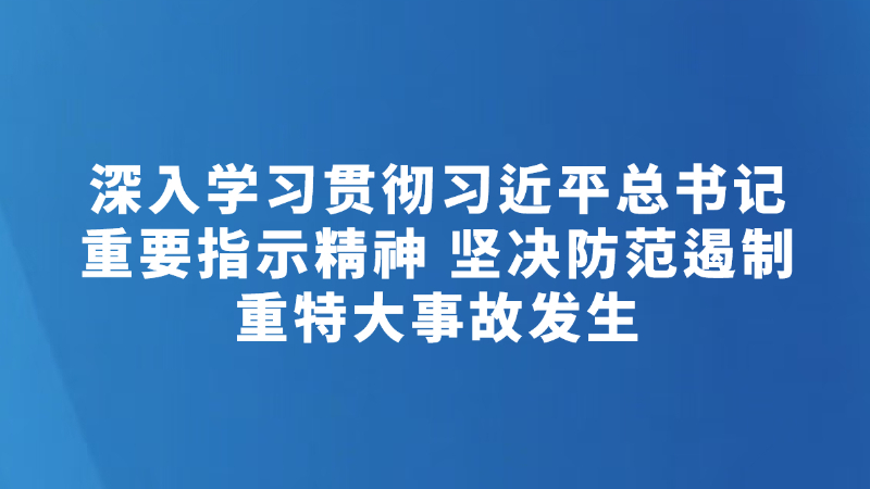 深入学习贯彻习近平总书记重要指示精神 坚决防范遏制重特大事故发生