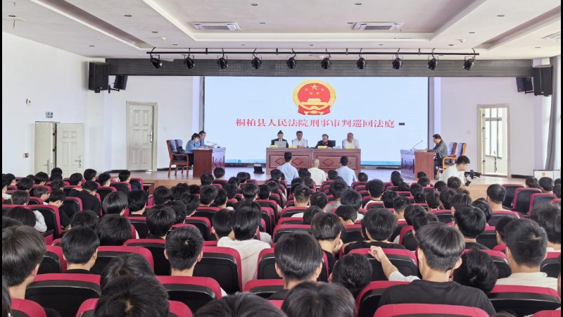 河南省南阳市桐柏县法院：临近高考敲警钟！这场校园庭审直击升学诈骗骗局