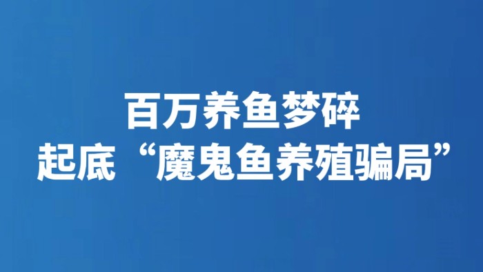 百万养鱼梦碎 起底“魔鬼鱼养殖骗局”