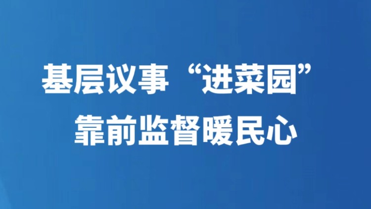 基层议事"进菜园" 靠前监督暖民心