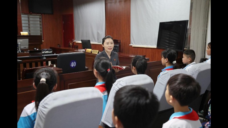 河南省南阳市新野县法院：模拟法庭剧本杀 解锁普法新玩法