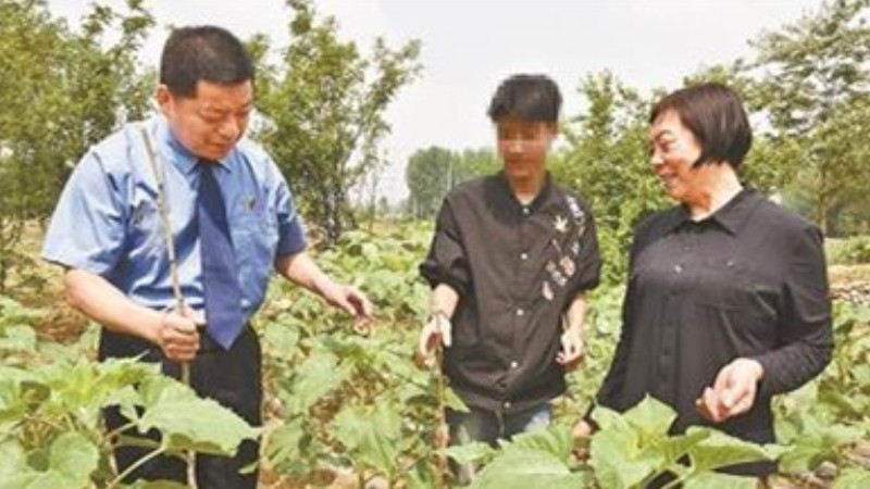 做实做细涉罪未成年人帮教工作