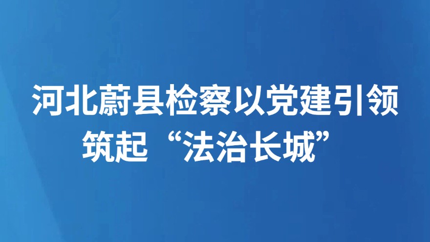 河北蔚县检察以党建引领筑起“法治长城”