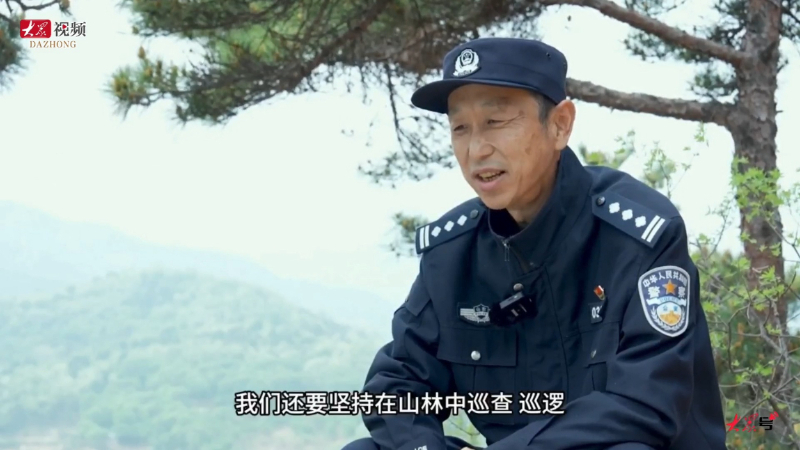 在山东，有一种坚守叫“我是守山民警，这片林子归我管”
