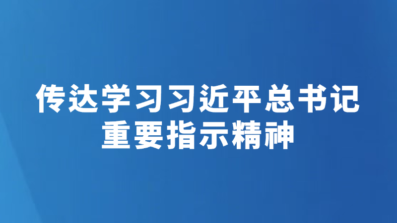 传达学习习近平总书记重要指示精神
