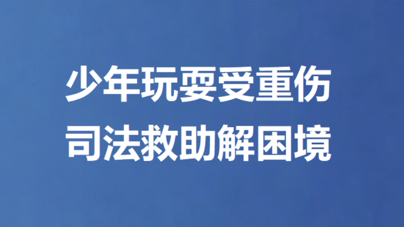 少年玩耍受重伤 司法救助解困境