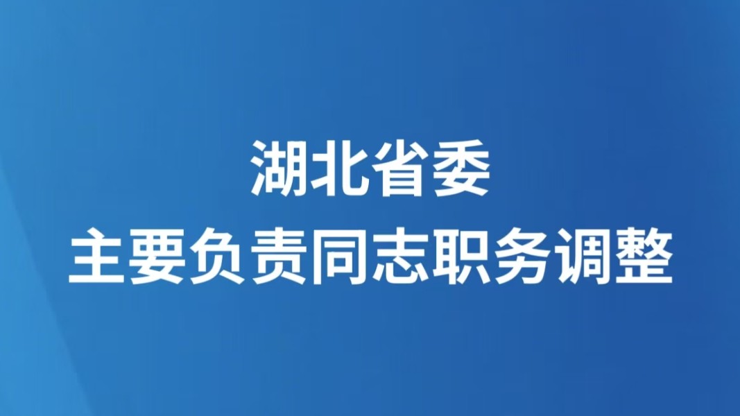 湖北省委主要负责同志职务调整
