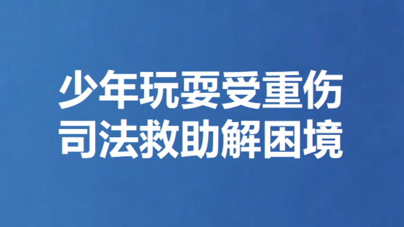 少年玩耍受重伤 司法救助解困境