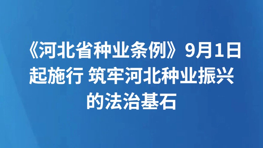 《河北省种业条例》9月1日起施行 筑牢河北种业振兴的法治基石