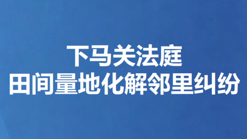 下马关法庭田间量地化解邻里纠纷