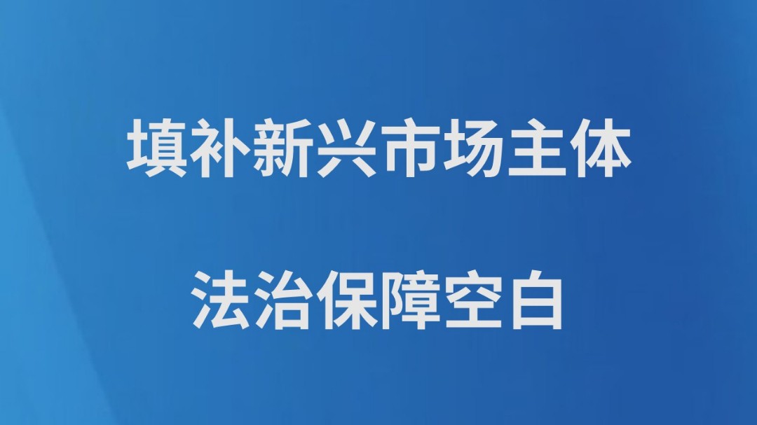 填补新兴市场主体法治保障空白