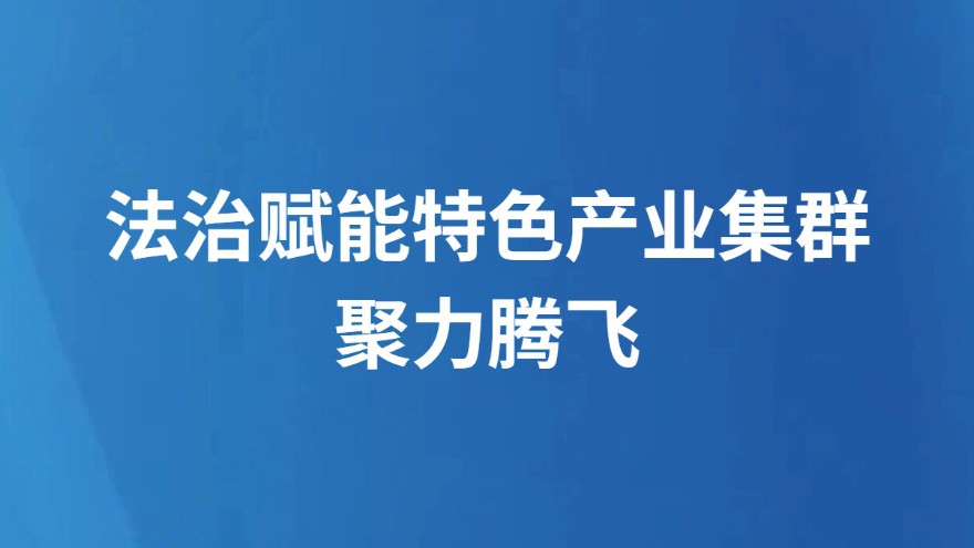 法治赋能特色产业集群聚力腾飞