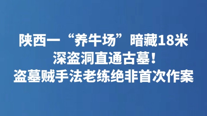 陕西一“养牛场”暗藏18米深盗洞直通古墓！盗墓贼手法老练绝非首次作案