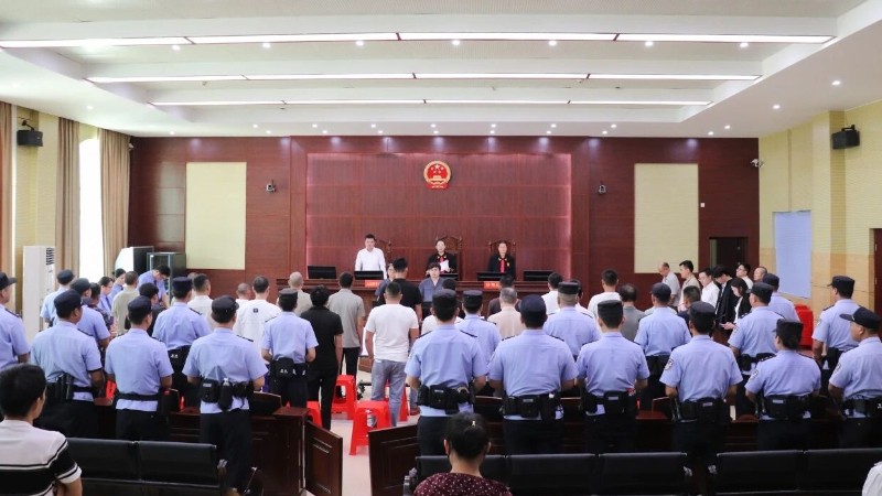 筑牢雨林生态司法防线 海南白沙法院全链条打击环境资源犯罪26人获刑
